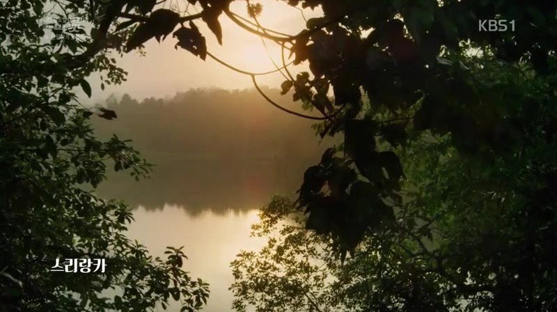 세상에서 가장 작은 고양이 | 인스티즈