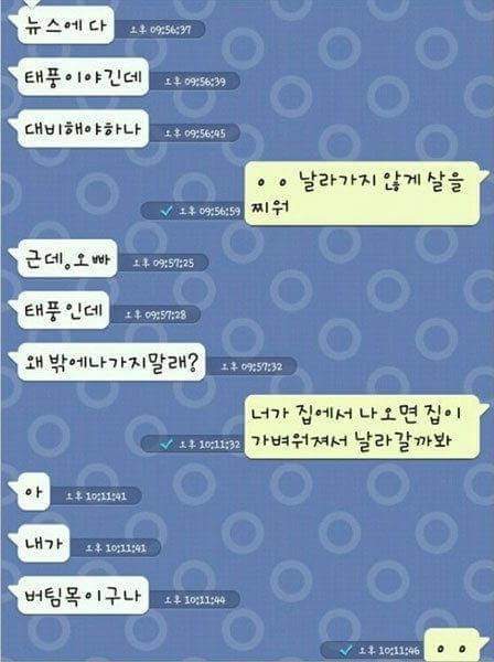 태풍 올 때 집 밖으로 나가면 안되는 이유 | 인스티즈