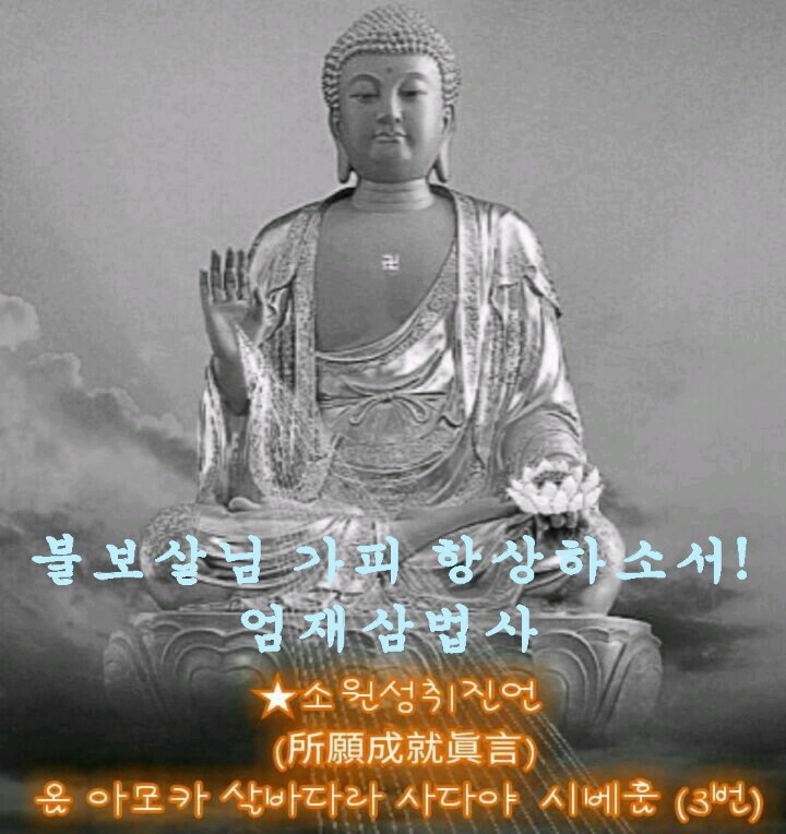 서울초밥 이미지
