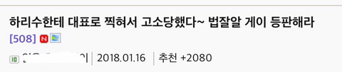 하리수한테 대거 고소당한 일베 | 인스티즈