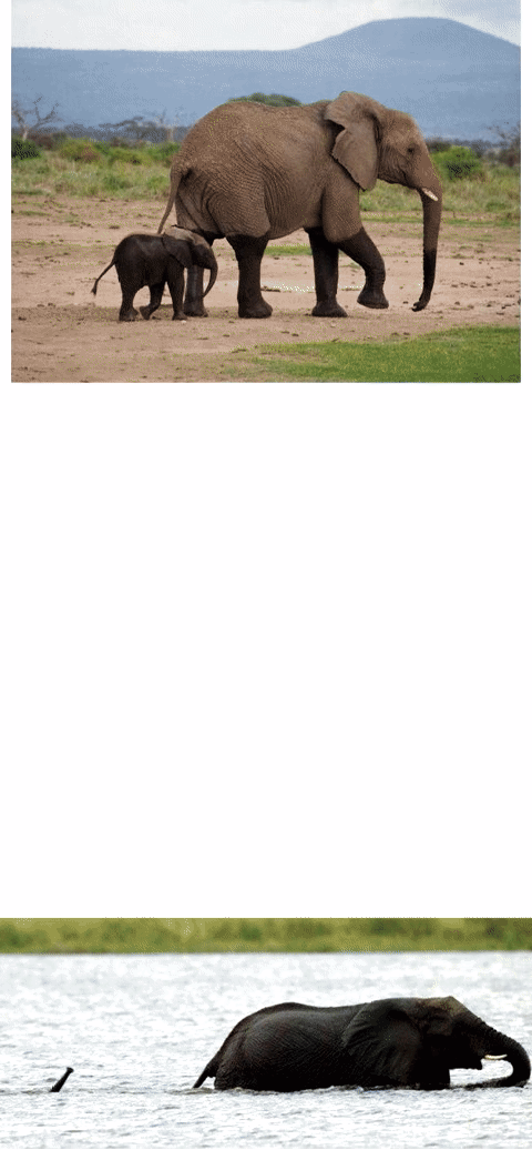 엄마 나 아까 죽는줄 아라쪄 | 인스티즈