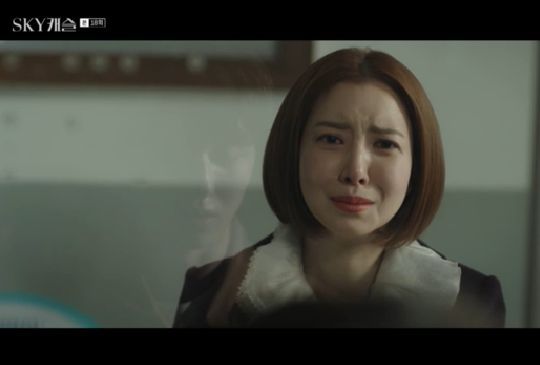 스카이캐슬 초반 악역 인줄 알았던 캐릭터 [미방] | 인스티즈