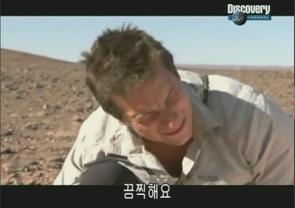 중국 벌레꼬치 리뷰! - 왕푸징거리 혐오음식 상세분석 (혐오주의) | 인스티즈