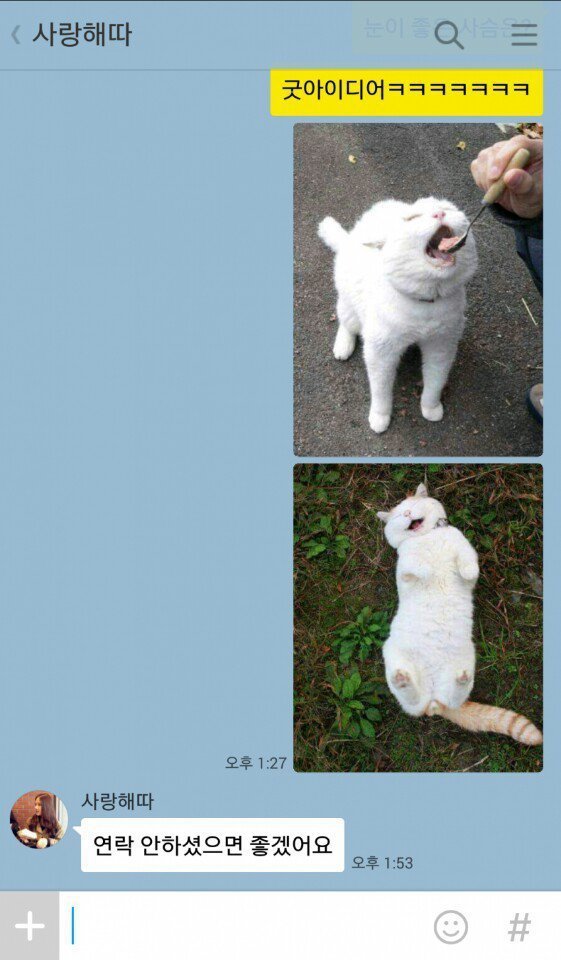 영어로 눈이 좋은 사슴은? | 인스티즈