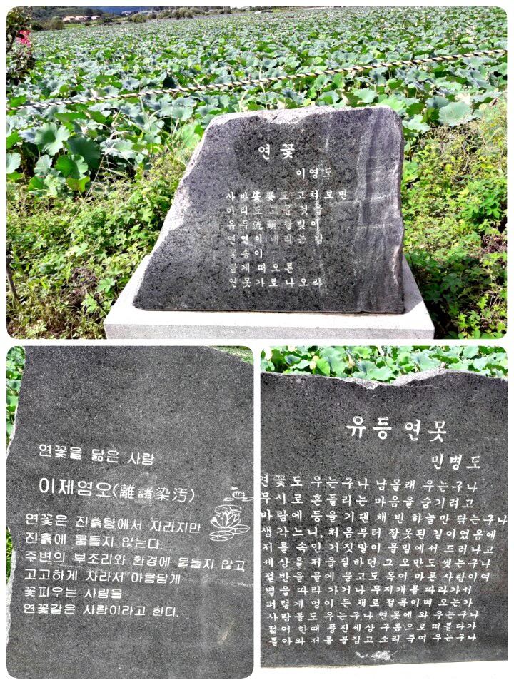 레드피아노 이미지