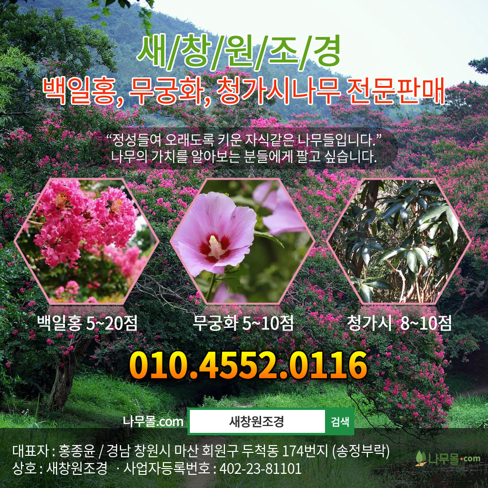 무궁화조경 이미지