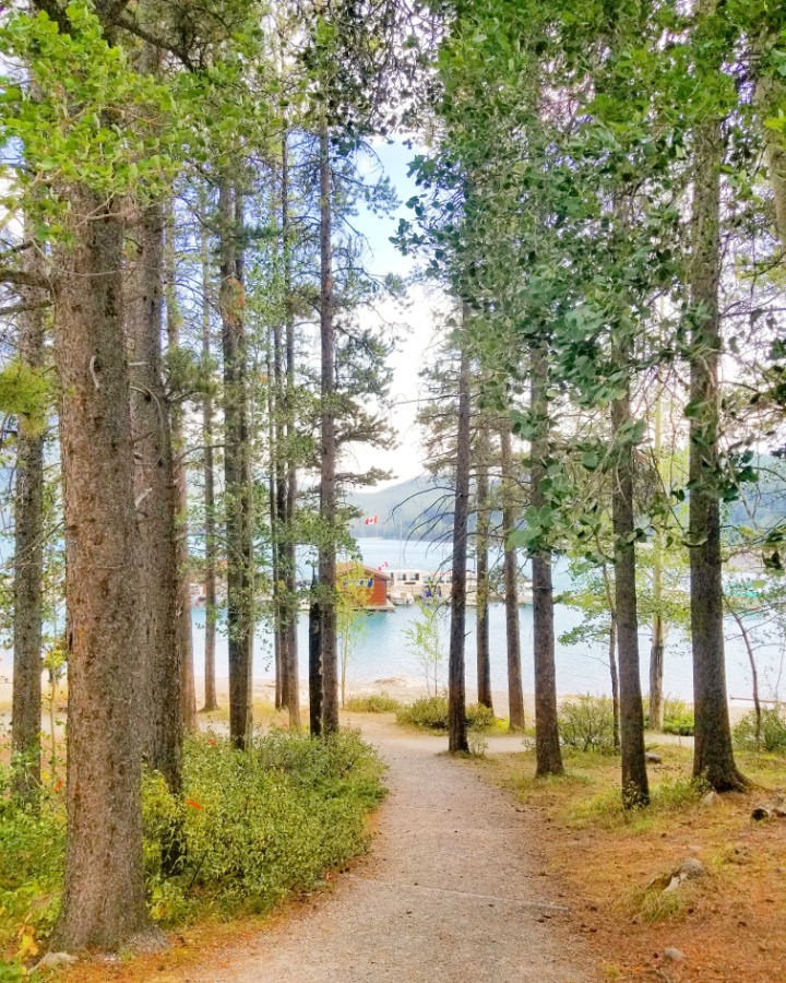 캐나다 사진 | 인스티즈