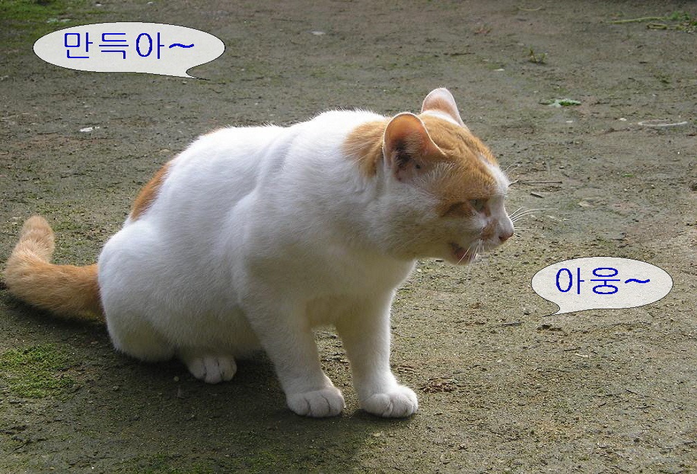 만득이 이미지